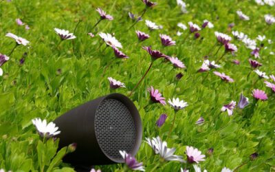 Bring Your Garden to Life