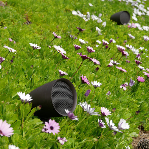 Bring Your Garden to Life